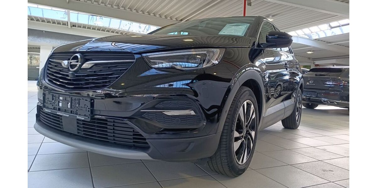 Opel Grandland (X) 66.356 km 18.490 &euro; Bad Oeynhausen 32545