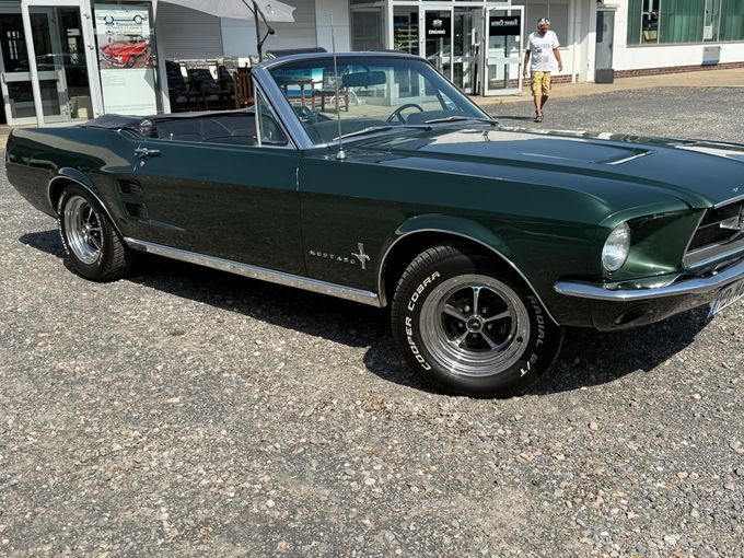 Mustang
