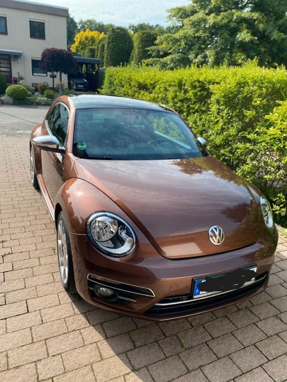 Beetle