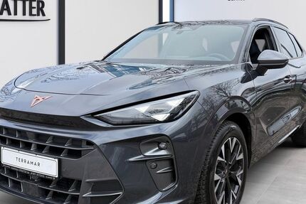 Cupra Terramar 1.300 km 35.980 &euro; München 81249