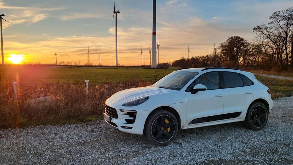 Macan
