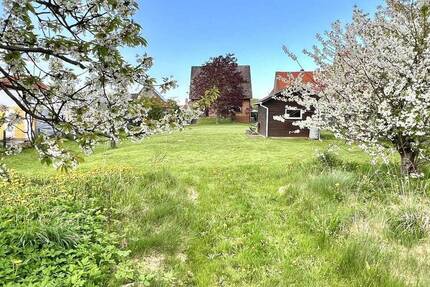 Freistehendes Viebrockhaus auf 1825 m² Traumgrundstück in 2. Reihe! 4 zimmer