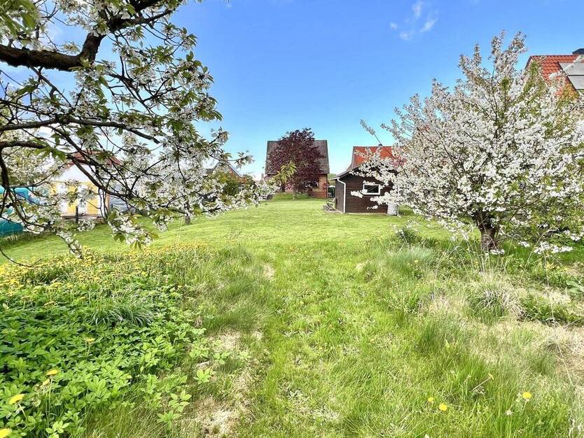 Freistehendes Viebrockhaus auf 1825 m² Traumgrundstück in 2. Reihe! 4 zimmer
