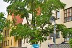 Gewerbeobjekt Ingolstadt - 2.350&euro; | Angebot:26057368