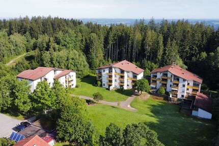 Wohnung zum Mieten in Lindenberg im Allgäu 552 € 46 m² 1 zimmer