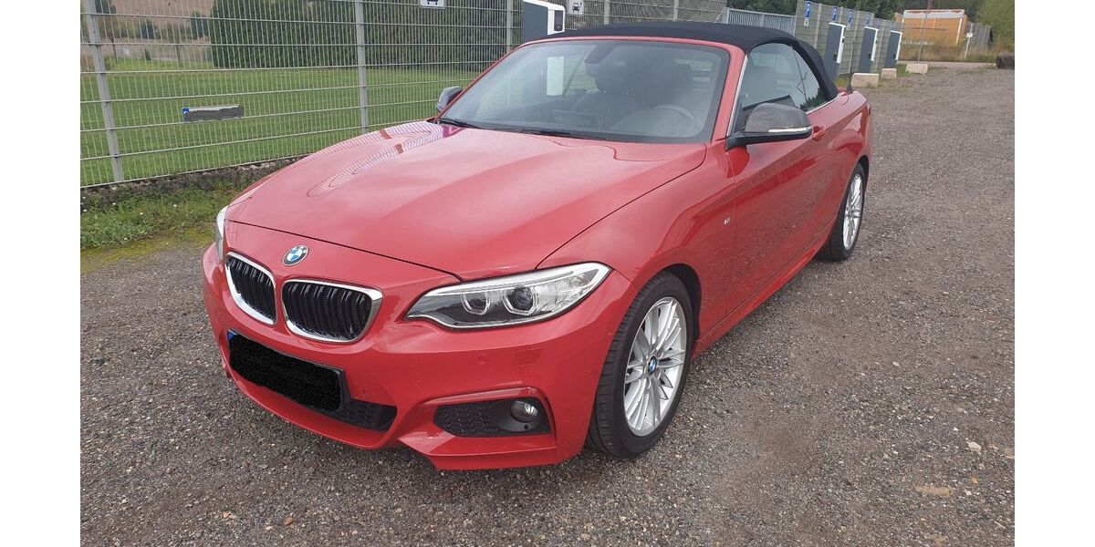BMW 228 47.000 km 18.500 &euro; Zemmer 54313
