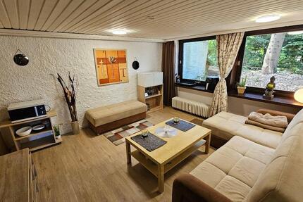 Wunderschöne 1-Zimmer-Wohnung in ruhiger Waldlage in Bad Harzburg 1 zimmer