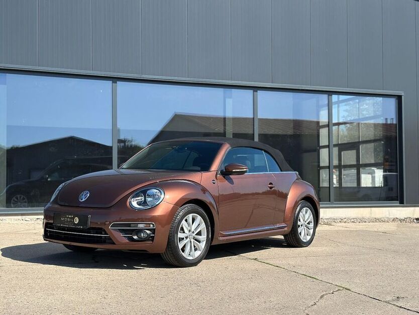 Beetle