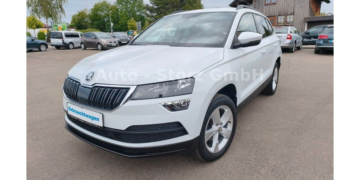 Skoda Karoq 73.990 km 21.990 &euro; Dunningen 78655