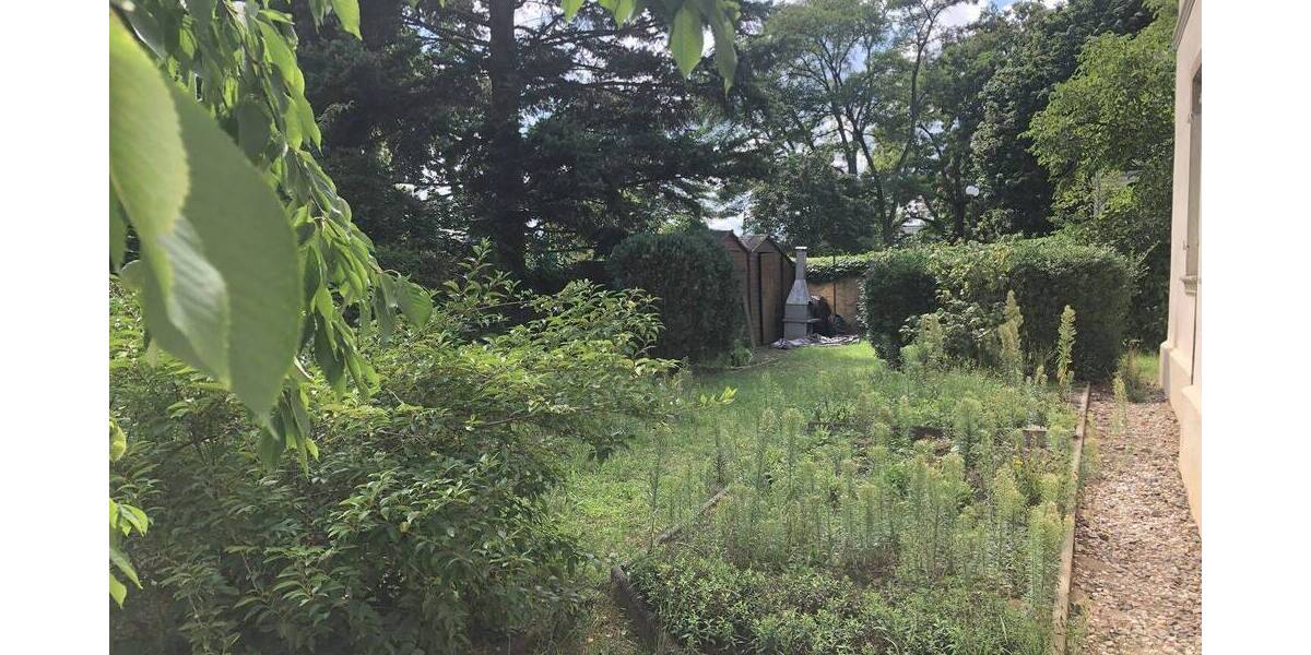 Versteigerungsimmobilie Radebeul - 800.000&euro; | Angebot:24634750