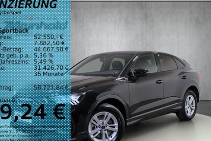 Audi Q3 1.010 km 51.390 &euro; Auerbach/Rebesgrün 08209