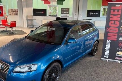 Audi A3 225.600 km 4.490 &euro; Rodewisch 08228
