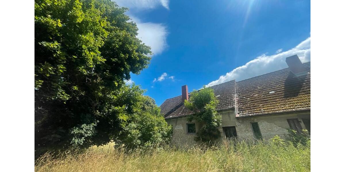 Einfamilienhaus Ferdinandshof - 8 Zimmer, 420 m&sup2;, 137.000&euro; | Angebot:26354176