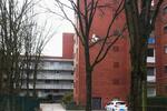 Etagenwohnung Lüneburg Ebensberg - 2 Zimmer, 53 m&sup2;, 515&euro; | Angebot:25723538
