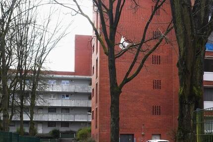 Wohnung Lüneburg Ebensberg - 2 Zimmer, 53 m&sup2;, 515&euro; | Angebot:25723538