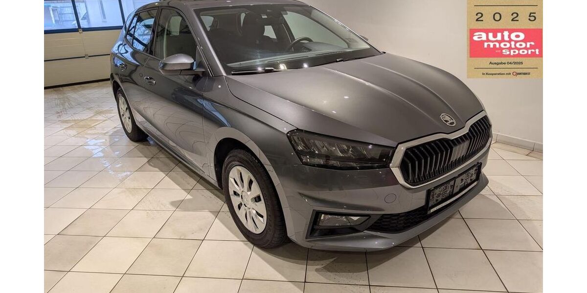 Skoda Fabia 9.824 km 16.899 &euro; Frohburg 04654