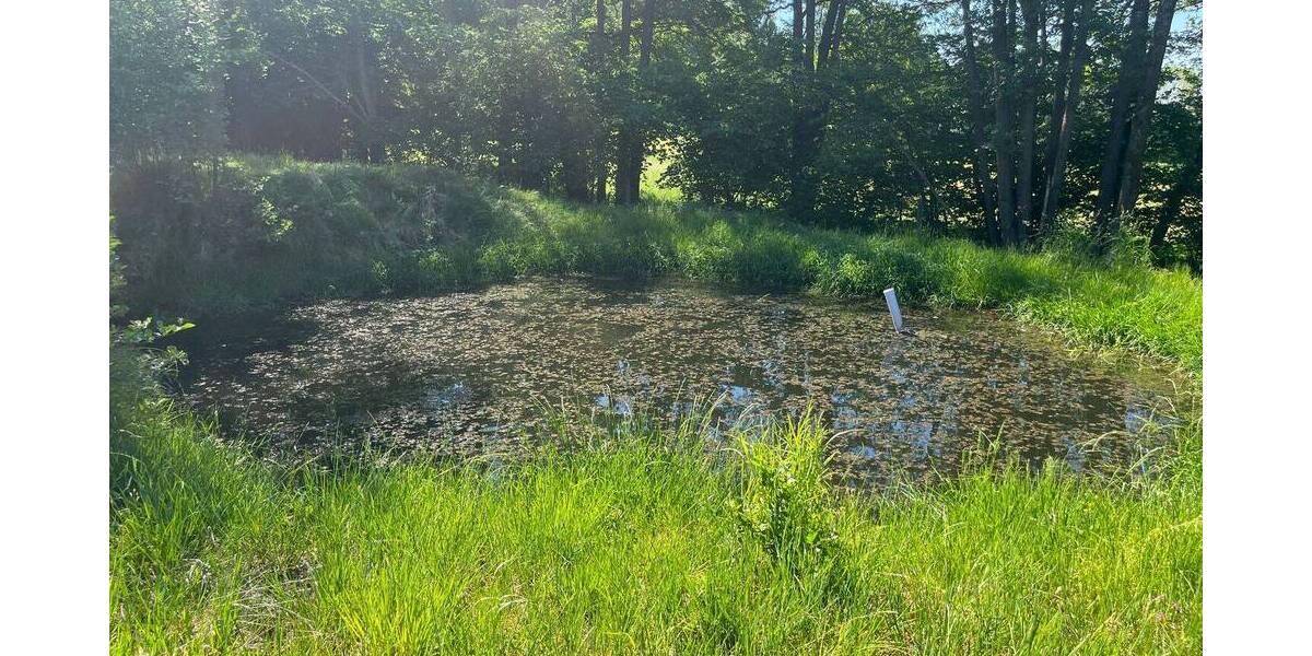 Grundstück Viechtach Wiesing - 109.000&euro; | Angebot:26806328