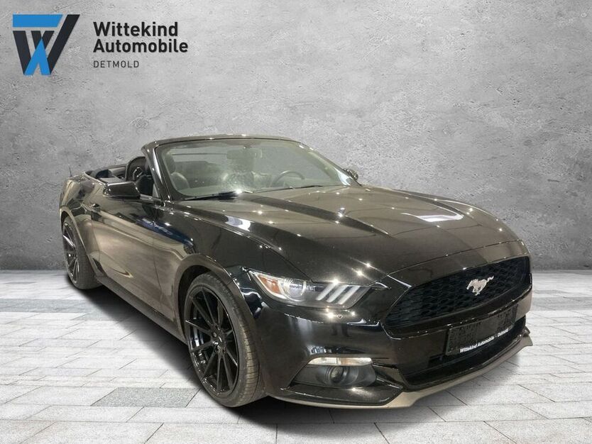 Mustang
