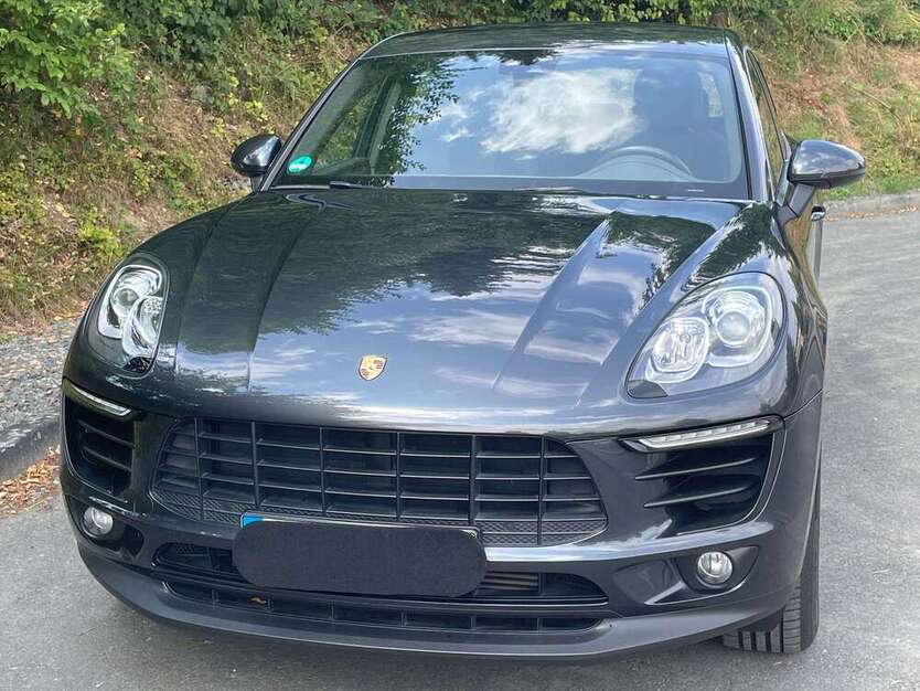 Macan