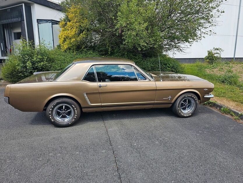 Mustang