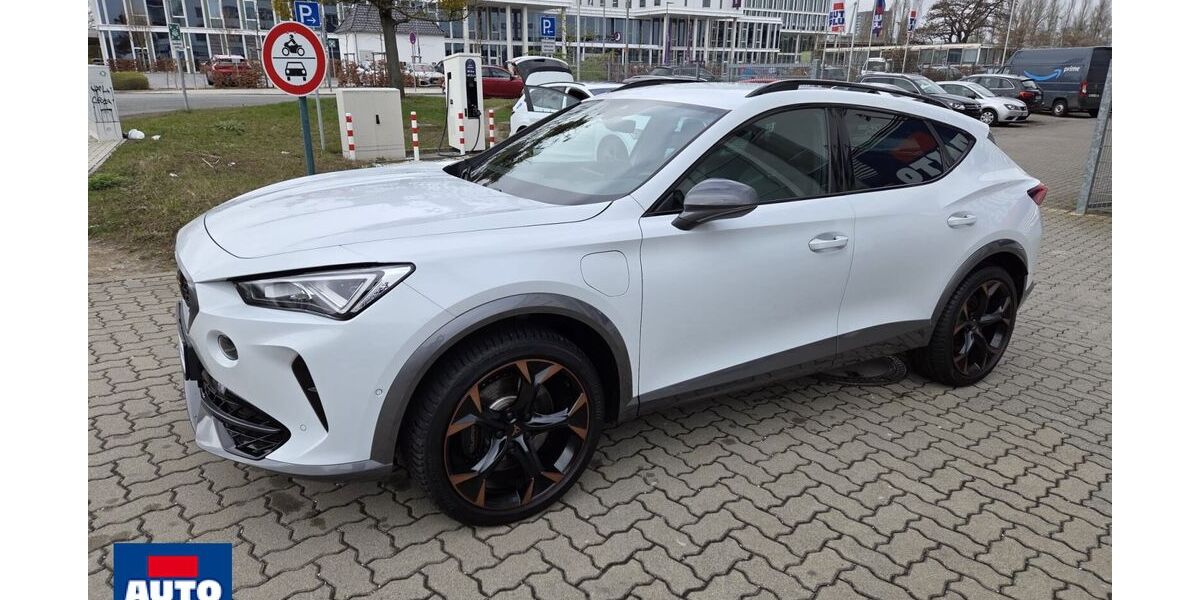 Cupra Formentor 42.245 km 25.879 &euro; Wolfsburg 38446