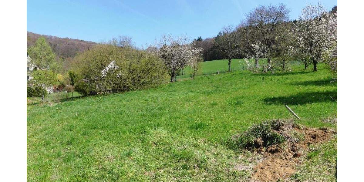 Grundstück Reichenschwand Leuzenberg - 325.000&euro; | Angebot:24637371