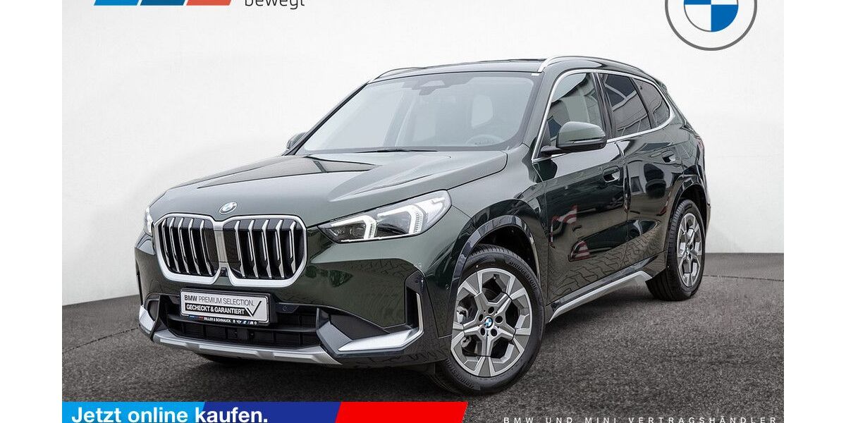 BMW X1 2.948 km 45.900 € Schönefeld OT Großziethen 12529