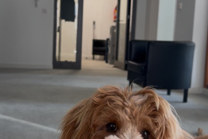 Gewerbeobjekt Frankfurt am Main Innenstadt - 250&euro; | Angebot:25570101