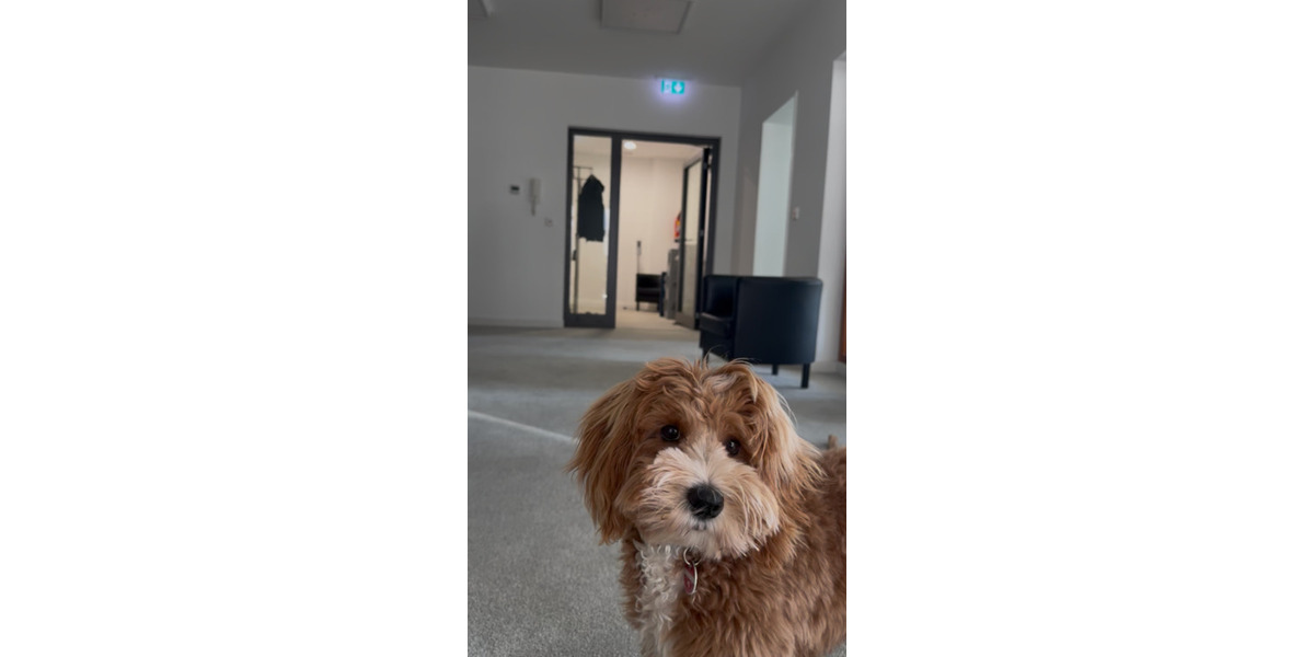 Gewerbeobjekt Frankfurt am Main Innenstadt - 250&euro; | Angebot:25570101