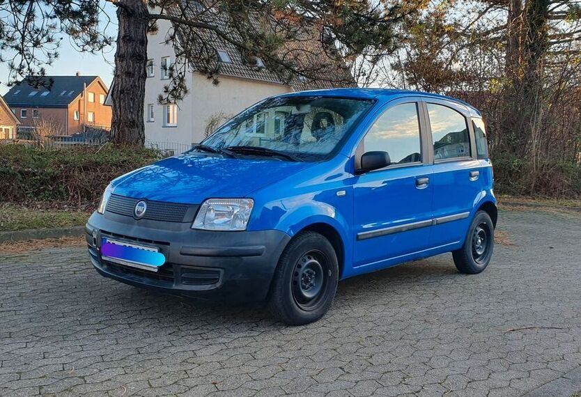 Panda