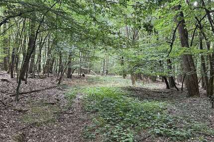 Grundstück in Schwandorf Ettmannsdorf 563.000 € 187942 m²