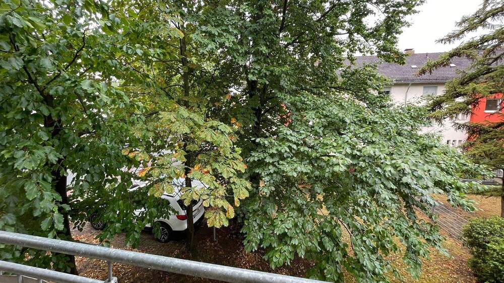 Etagenwohnung Nürnberg Großreuth b Schweinau - 2 Zimmer, 44 m&sup2;, 520&euro; | Angebot:26434522