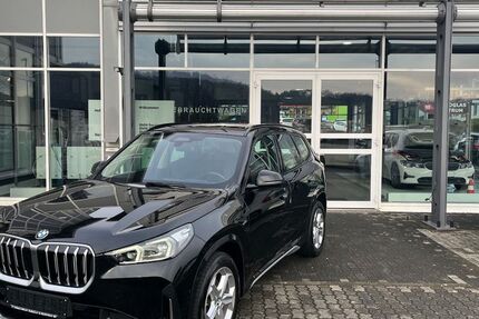 BMW X1 95.100 km 30.850 &euro; Zweibrücken 66482