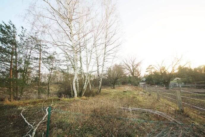 Grundstück Kemberg - 39.000&euro; | Angebot:25705739