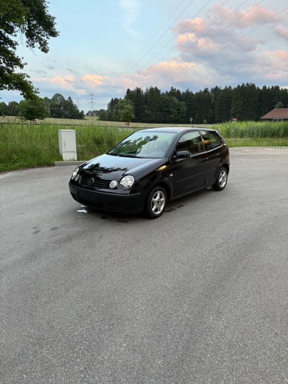 Polo