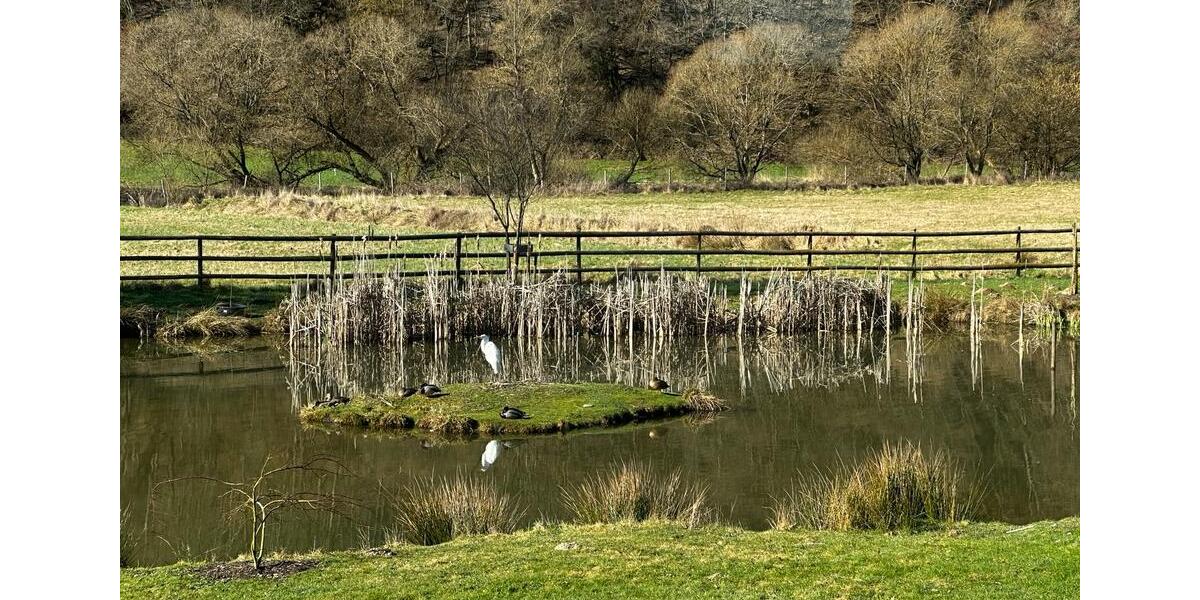 Einfamilienhaus Simmern/Hunsrück Hunsrück - 675.000&euro; | Angebot:26056146