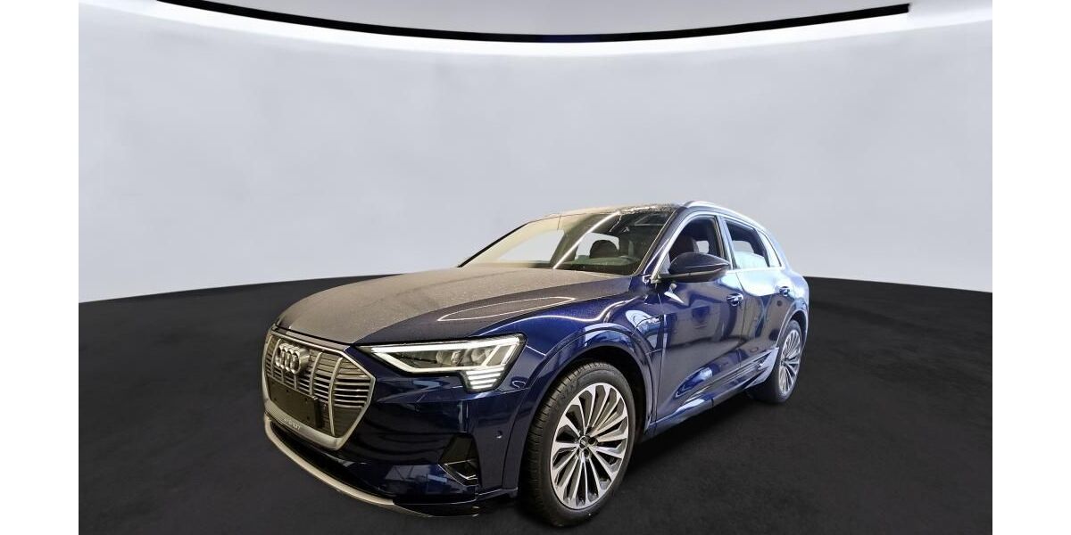 Audi e-tron 45.121 km 35.830 &euro; Hagen 58091