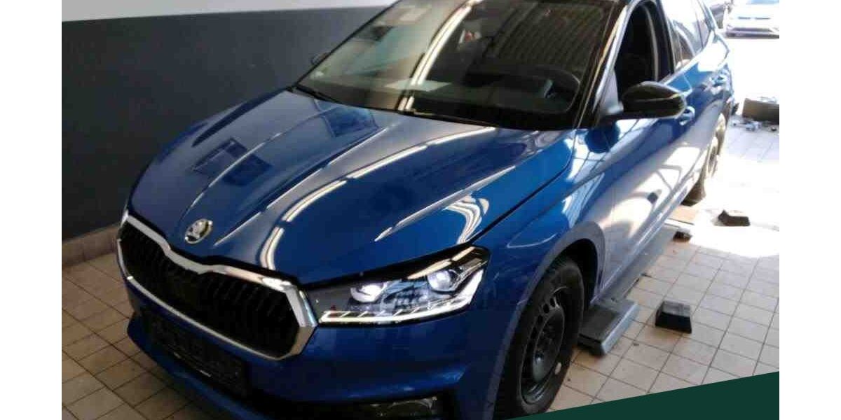 Skoda Fabia 46.400 km 18.999 &euro; Mühlheim 63165