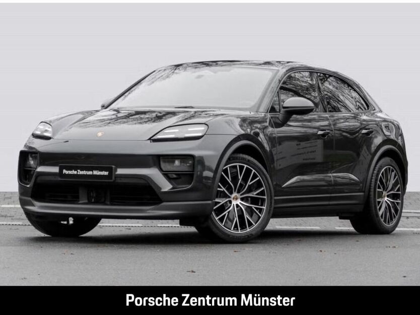 Macan