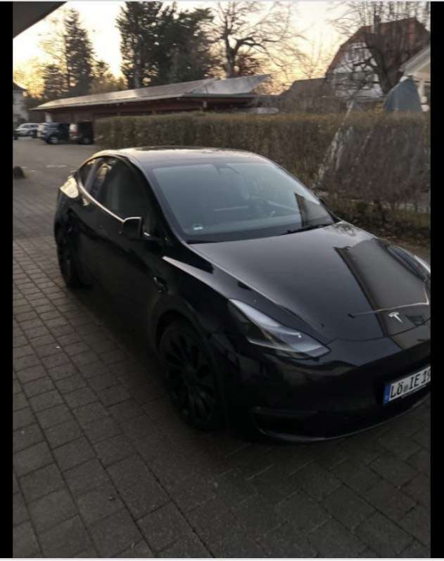 Model Y