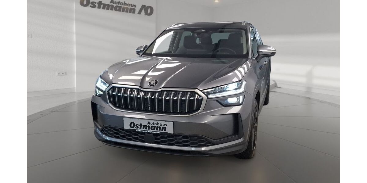Skoda Kodiaq 1.500 km 46.489 &euro; Wolfhagen 34466