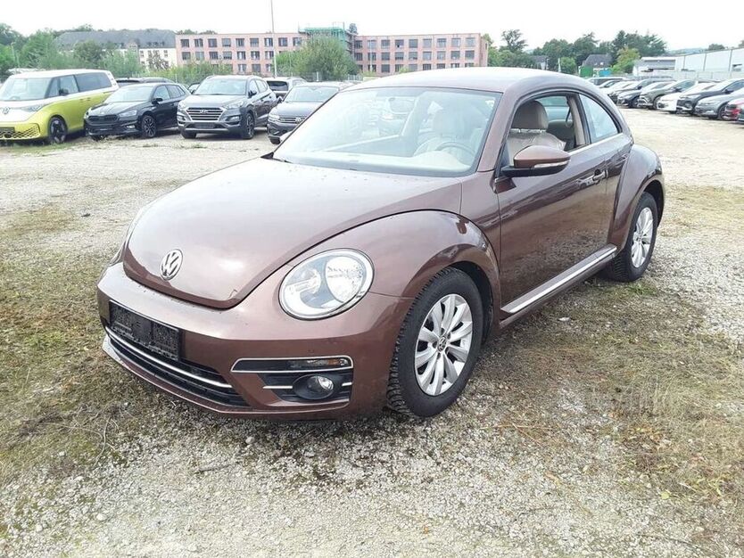 Beetle