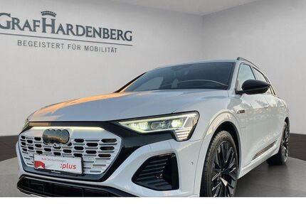 Audi Q8 e-tron 59.000 km 50.990 &euro; Konstanz 78467