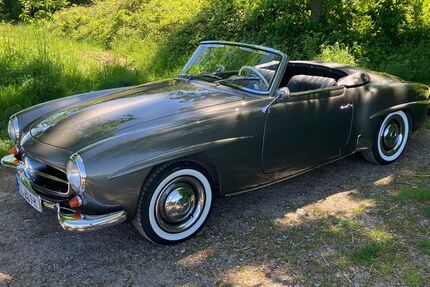 Mercedes-Benz 190 2.850 km 179.500 € Miltenberg 63897