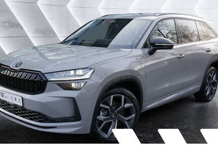 Skoda Kodiaq 2.500 km 49.918 &euro; Gelnhausen 63571