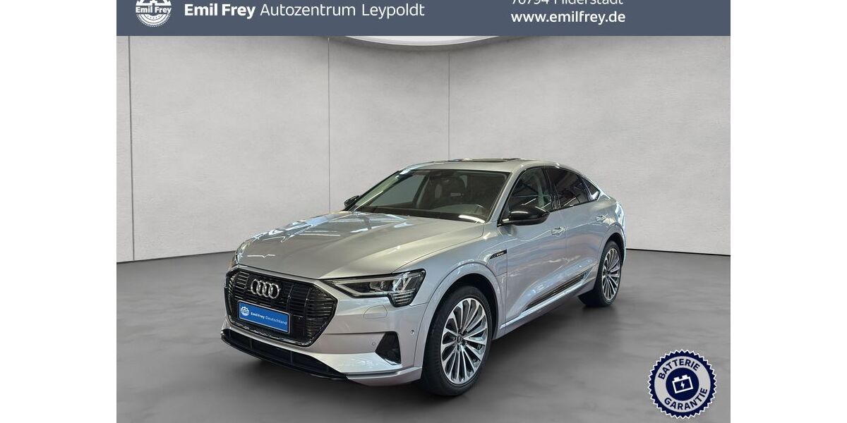Audi e-tron 81.584 km 31.890 &euro; Filderstadt 70794