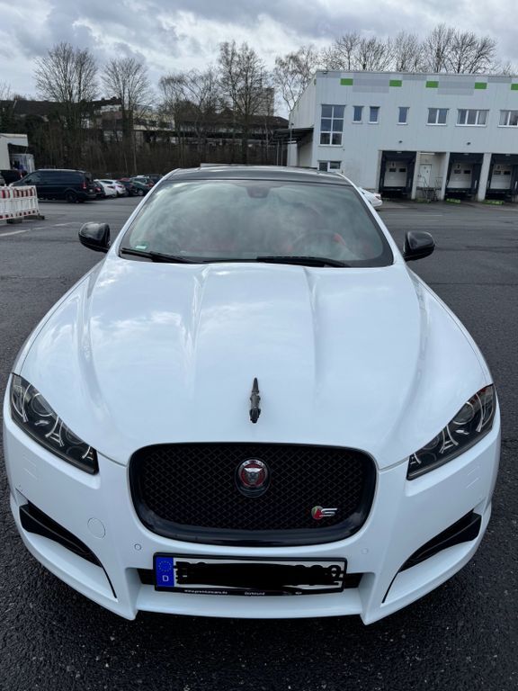 XF