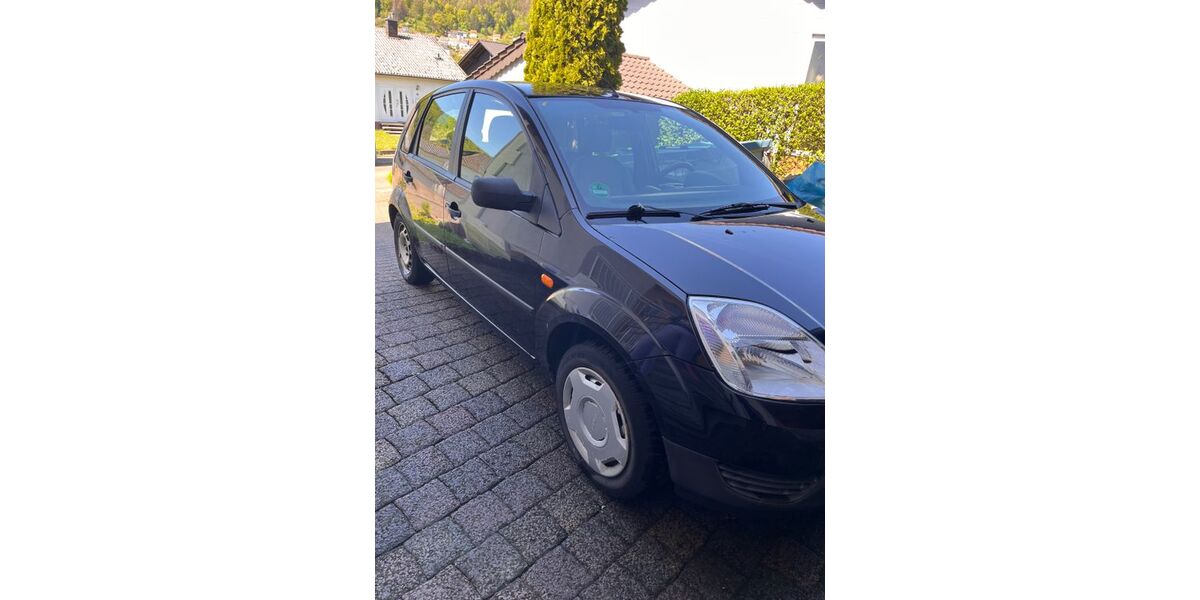 Ford Fiesta 213.298 km 890 &euro; Tholey 66636