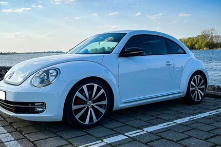 VW Beetle 179.500 km 8.000 &euro; Seevetal 21217