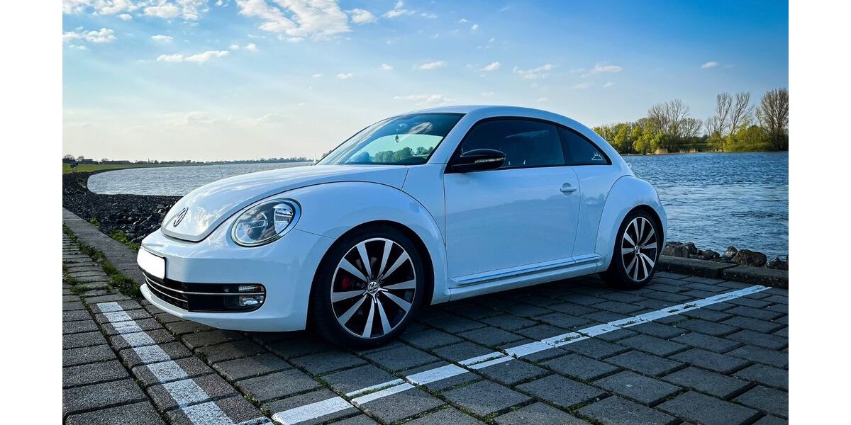 VW Beetle 179.500 km 8.000 &euro; Seevetal 21217